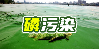 含磷廢水有什么特點(diǎn)？哪種除磷方法成本比較低？